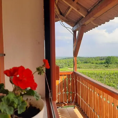 Szolocskei Vendeghaz Es Piheno Feriehus Eger