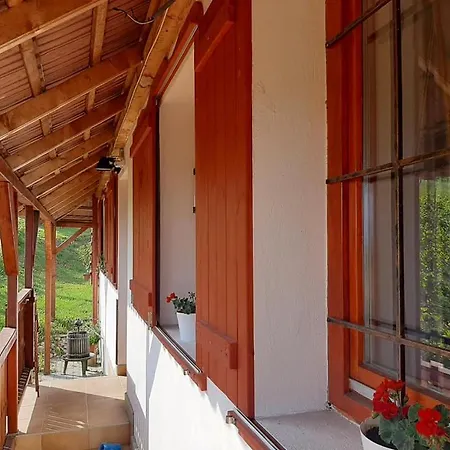 Holiday home Szolocskei Vendeghaz Es Piheno